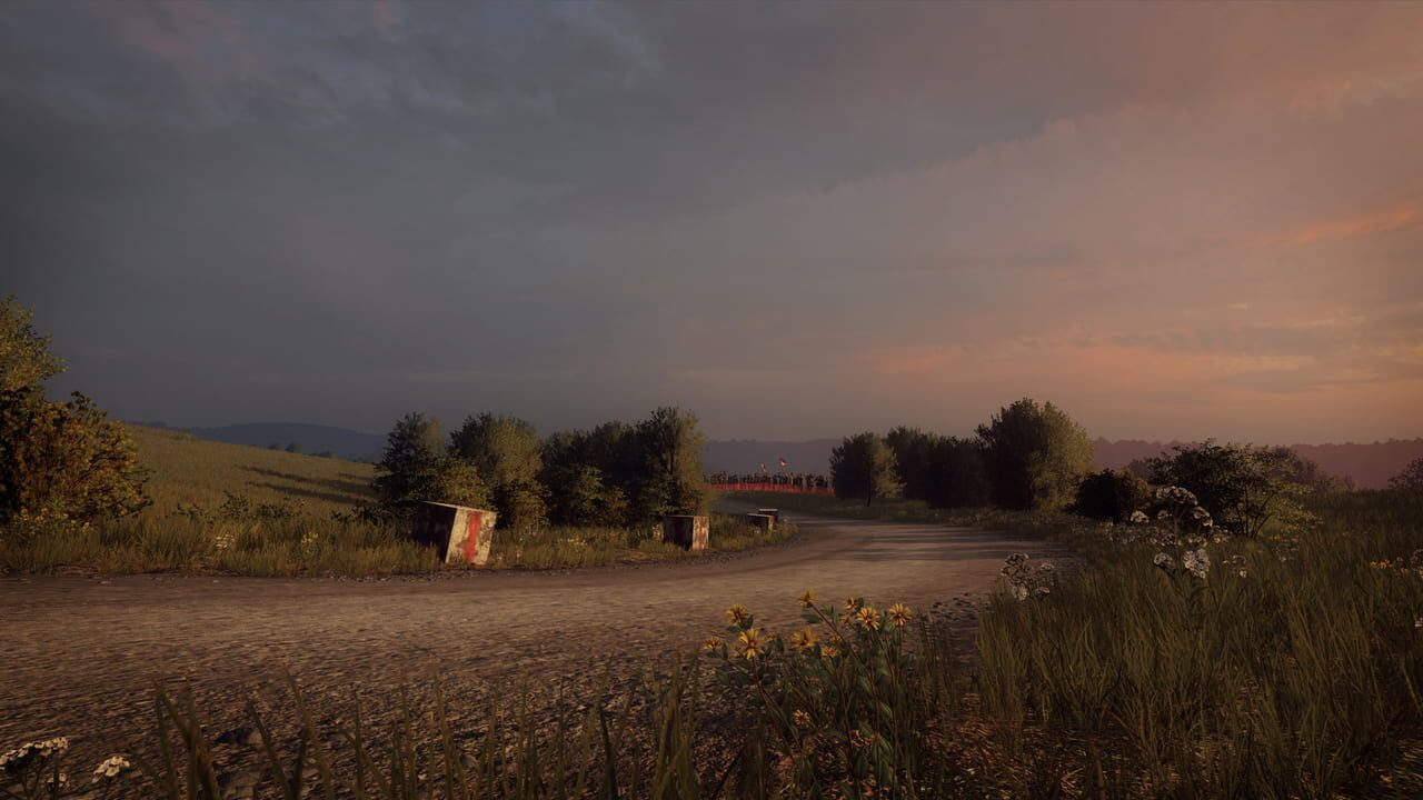 DiRT Rally 2.0: Germany (Rally Location) Image