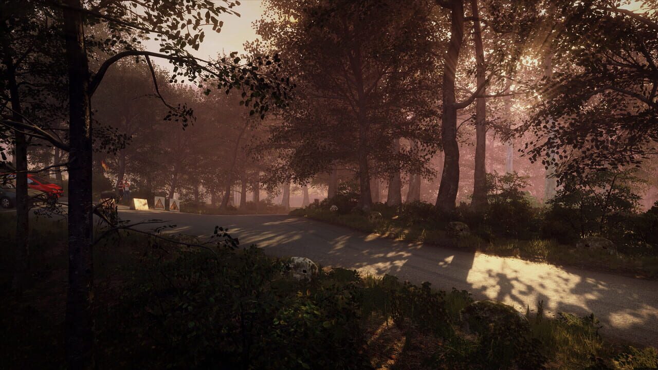 DiRT Rally 2.0: Germany (Rally Location) Image