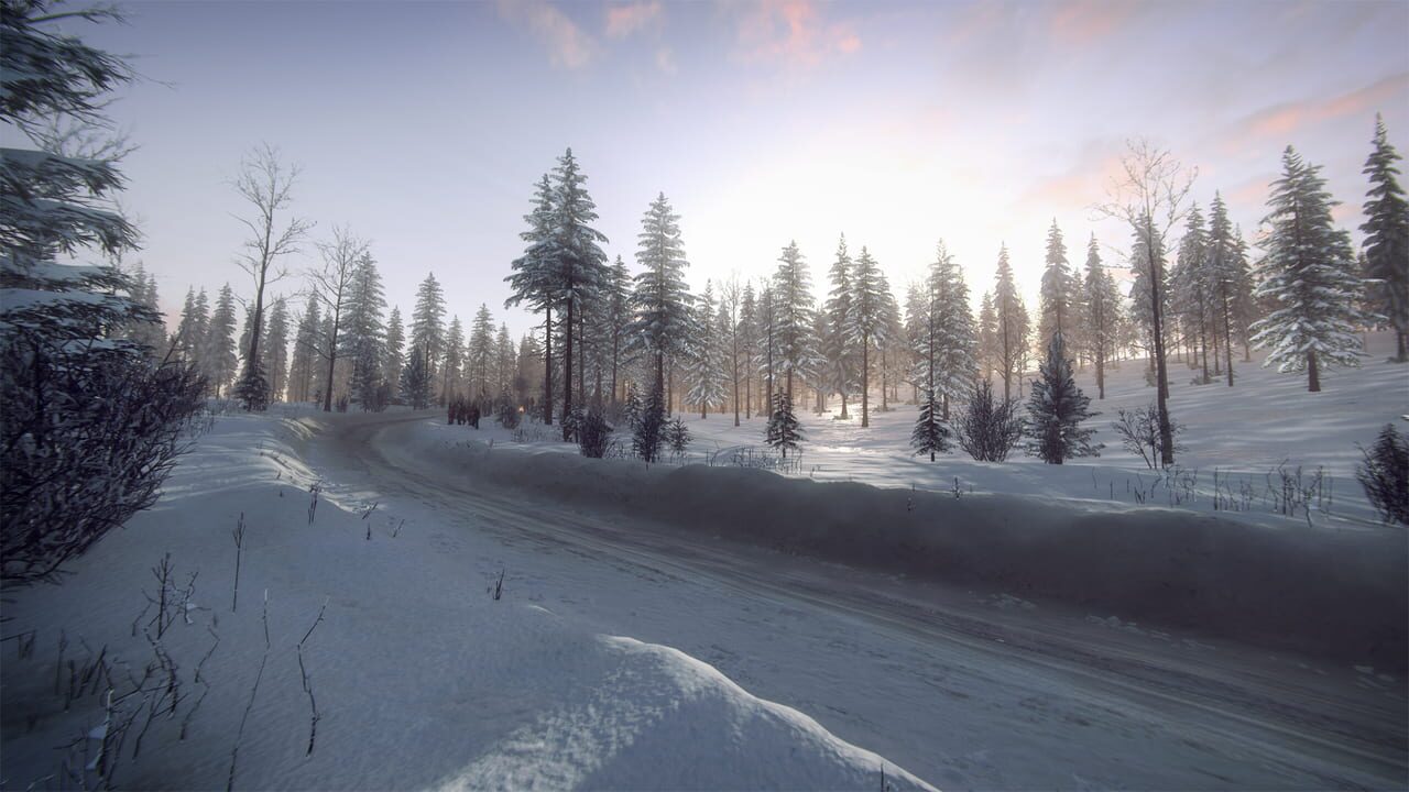 DiRT Rally 2.0: Sweden (Rally Location) Image