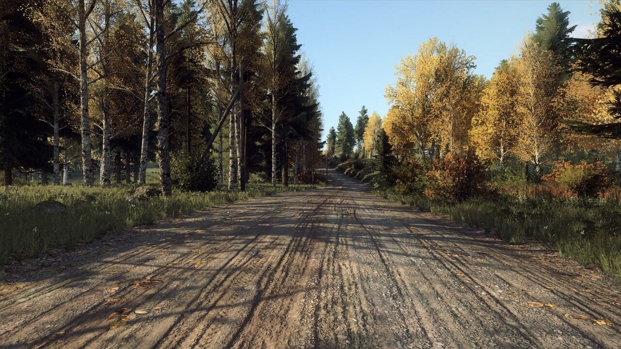 DiRT Rally 2.0: Finland (Rally Location) Image