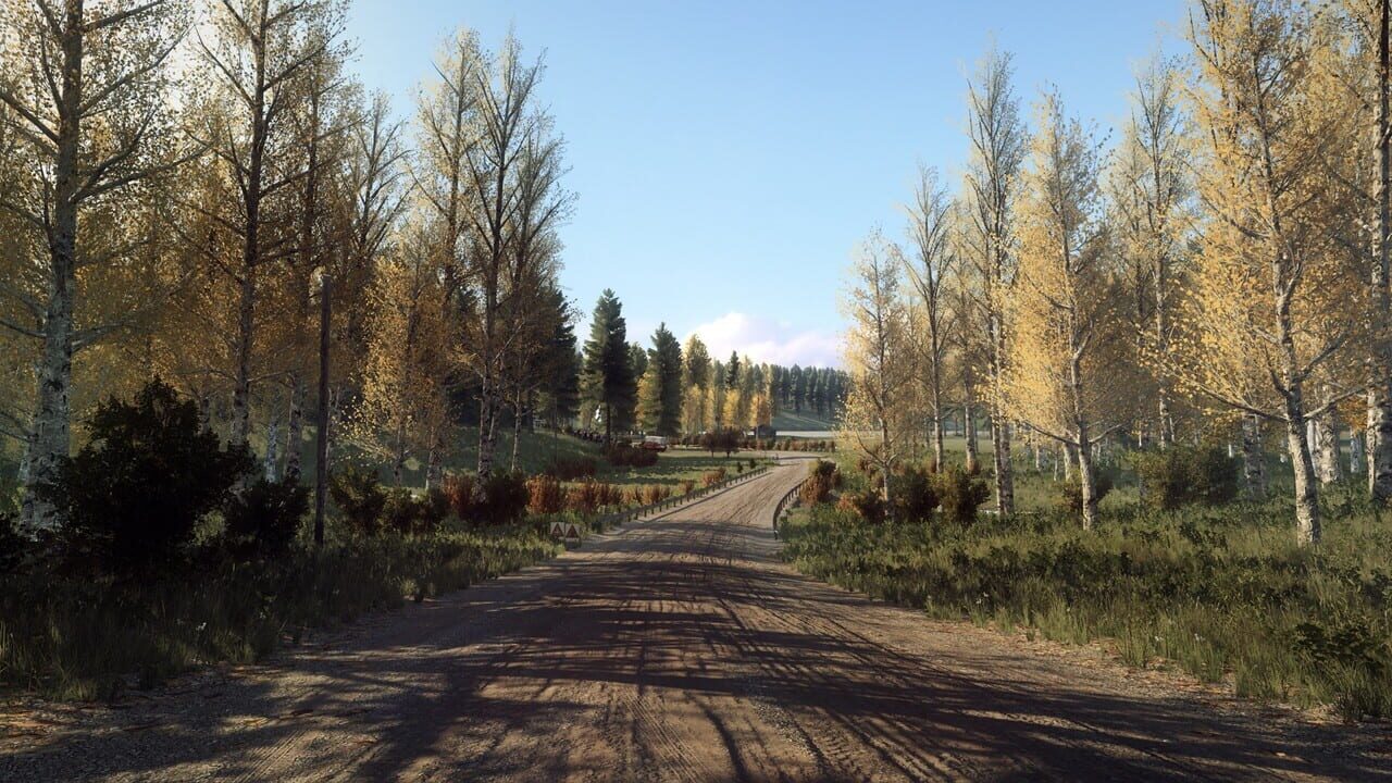 DiRT Rally 2.0: Finland (Rally Location) Image