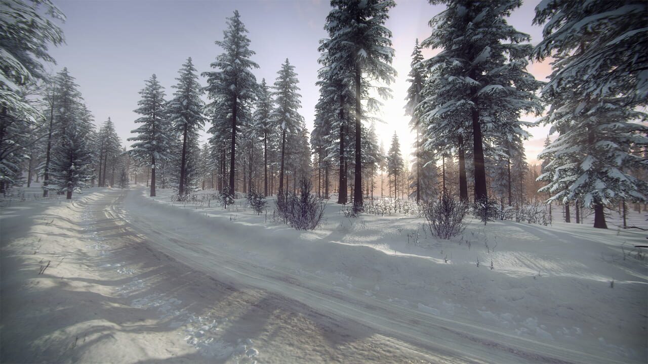 DiRT Rally 2.0: Sweden (Rally Location) Image