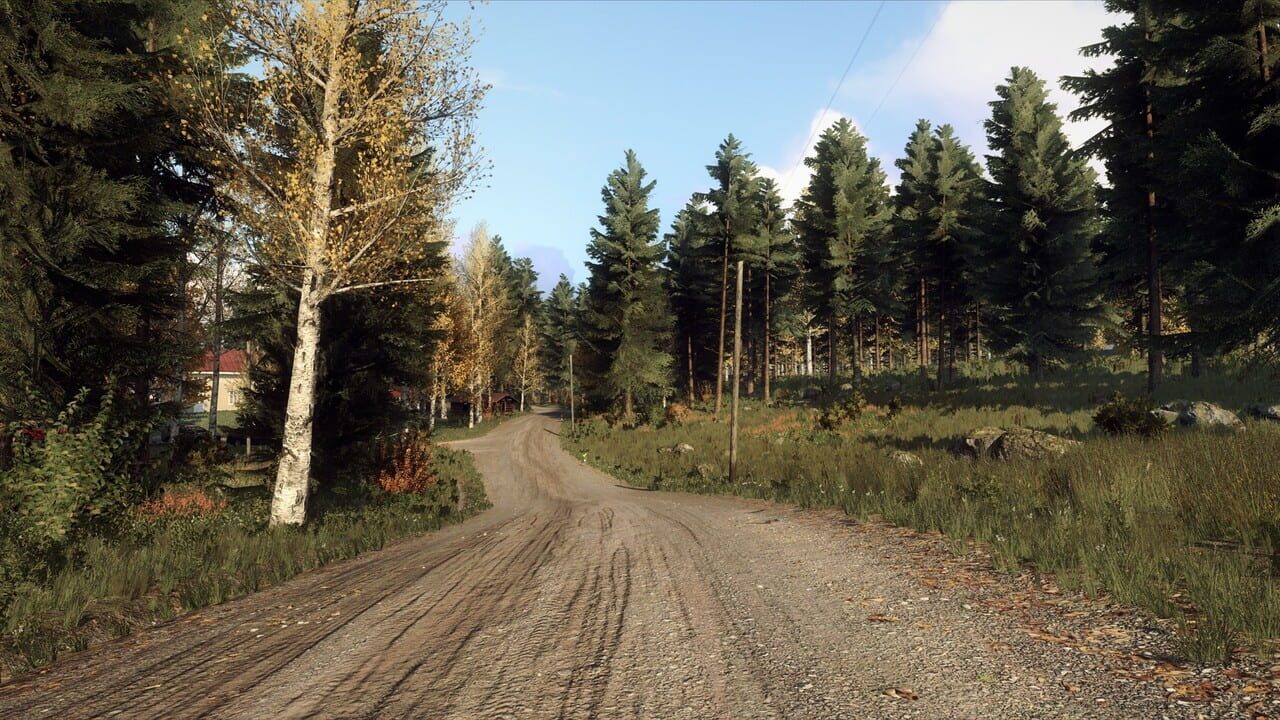 DiRT Rally 2.0: Finland (Rally Location) Image