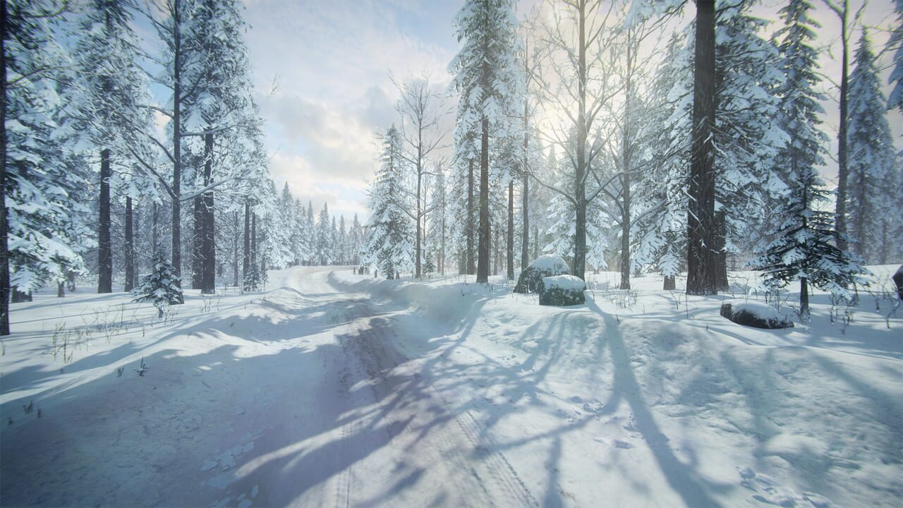 DiRT Rally 2.0: Sweden (Rally Location) Image