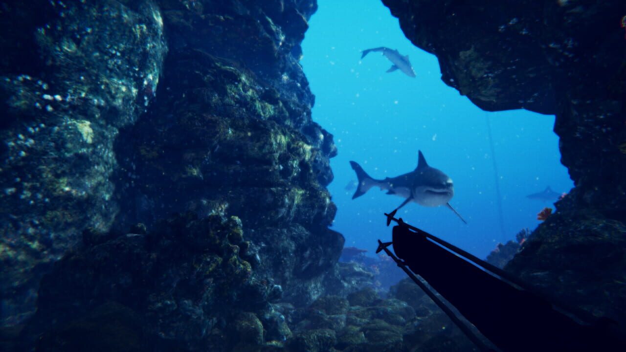 Shark Slayer — Screenshot 3