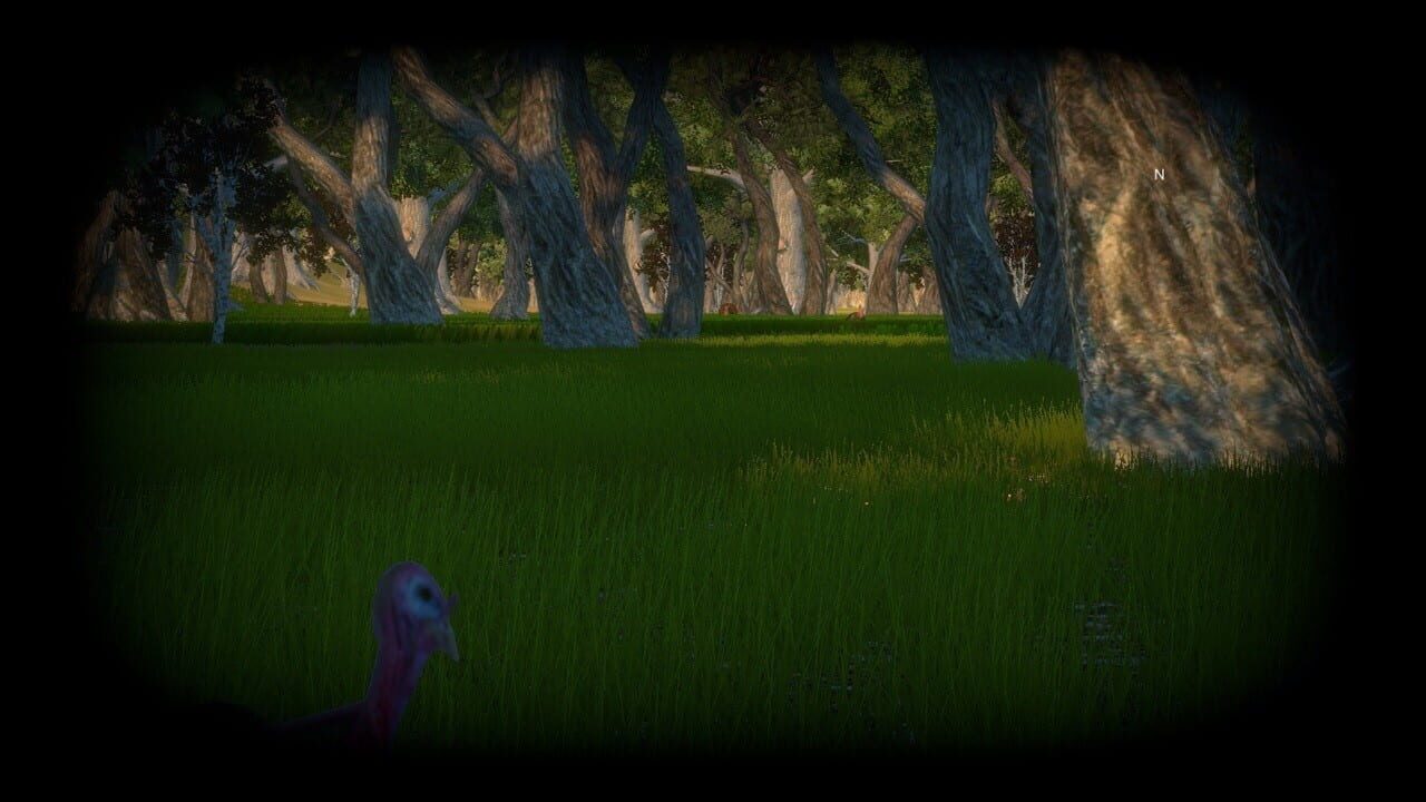 Turkey Hunting Unlimited — Screenshot 4