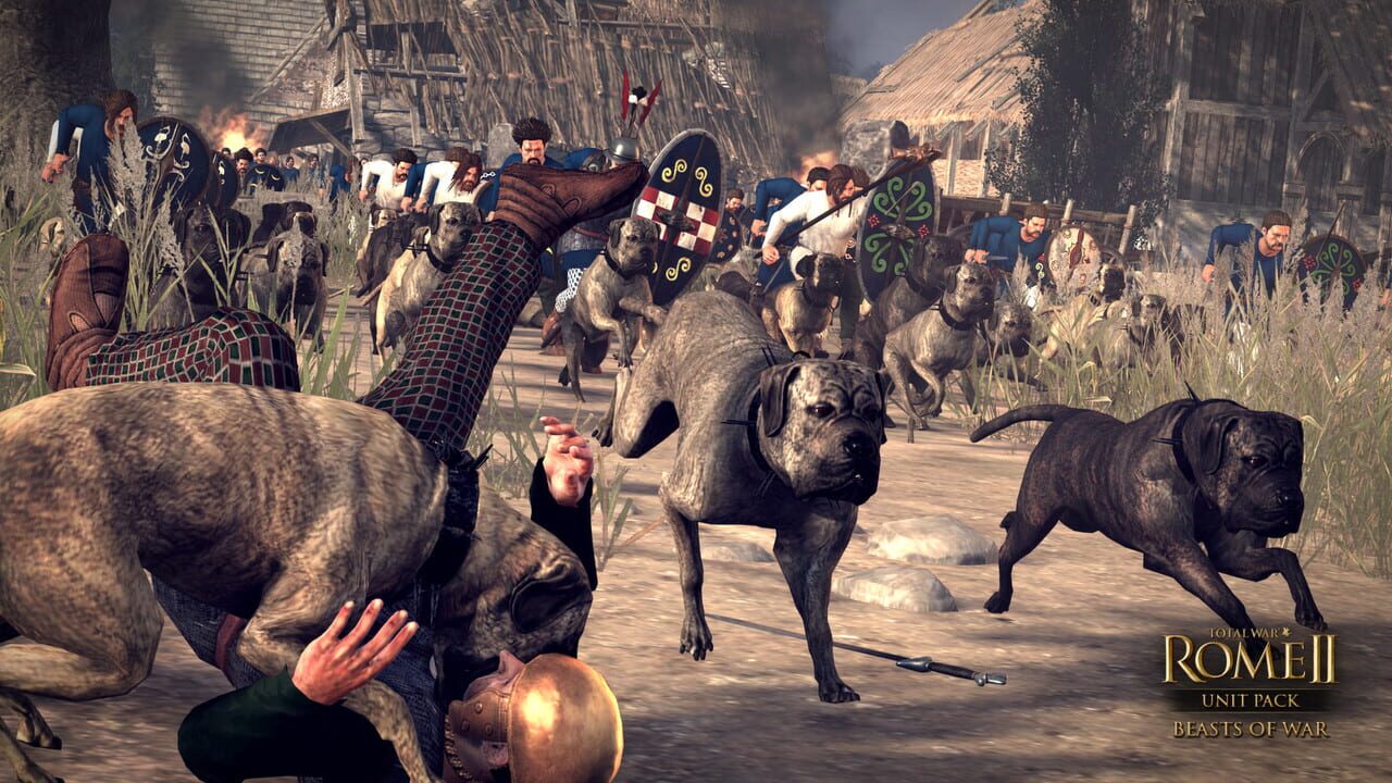 Total War: Rome II - Unit Pack: Beasts of War Image