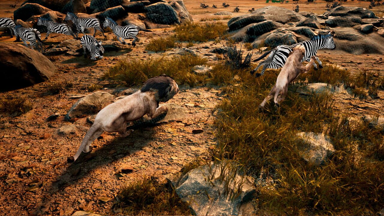 Animalia Survival Image