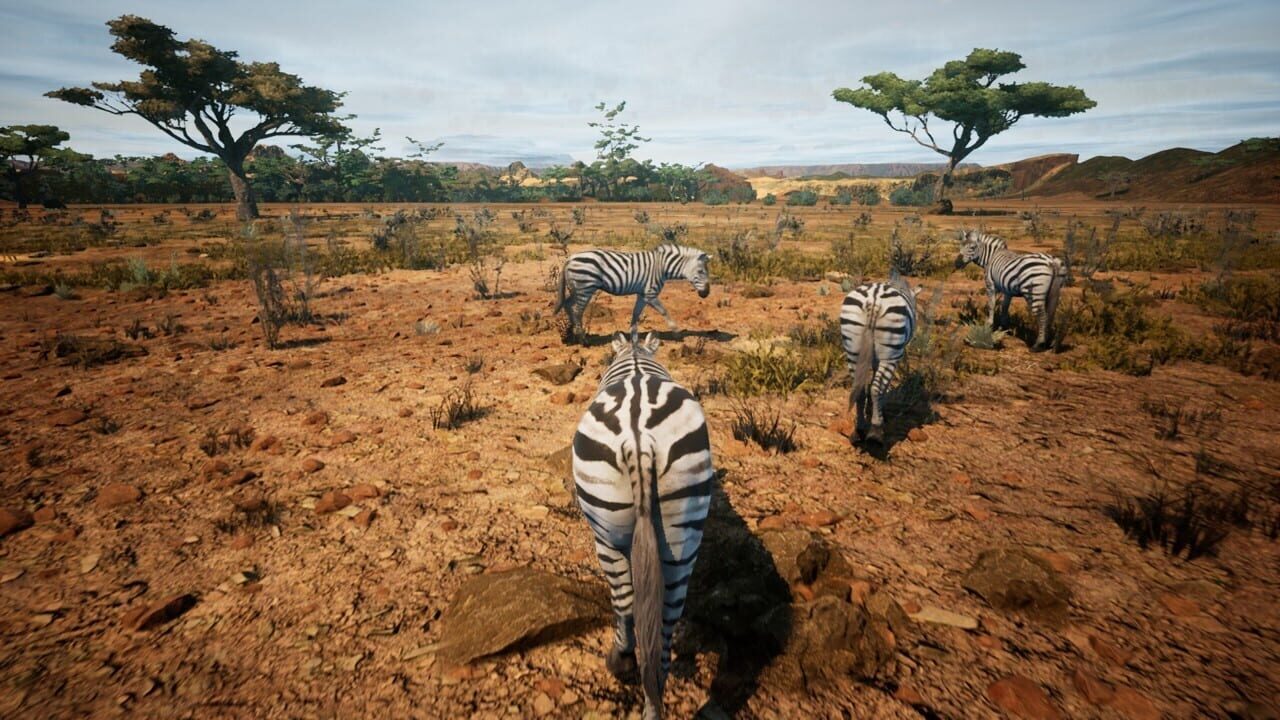Animalia Survival Image