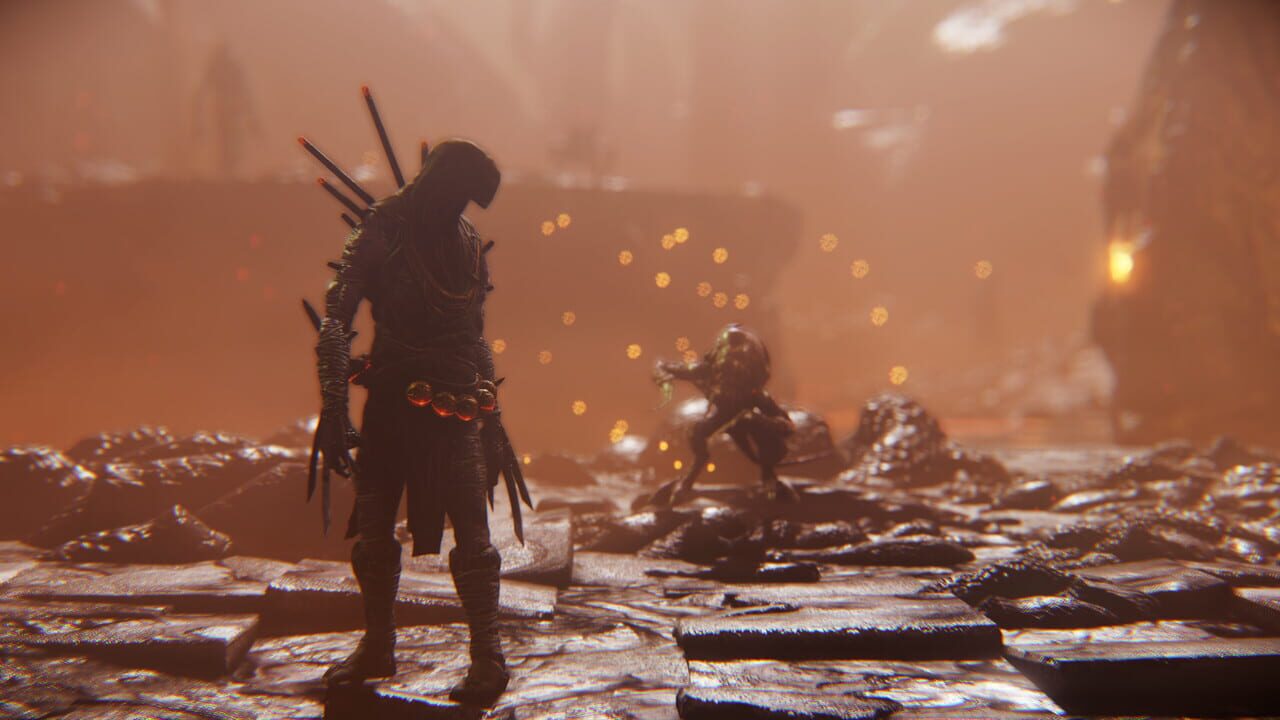 Shadow Warrior 2: The Way of the Wang Image