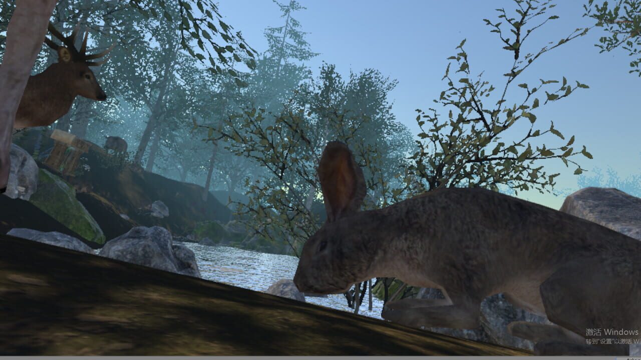 VR Wonderland: mini civilizations in a forest Image