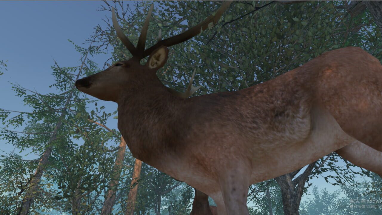 VR Wonderland: mini civilizations in a forest Image