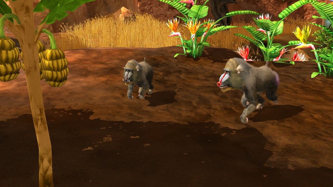 Wildlife Park 3: Africa Image