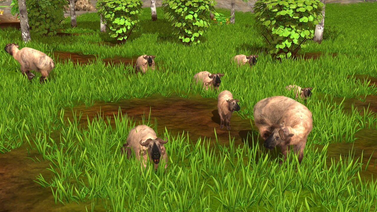 Wildlife Park 3: Asia Image