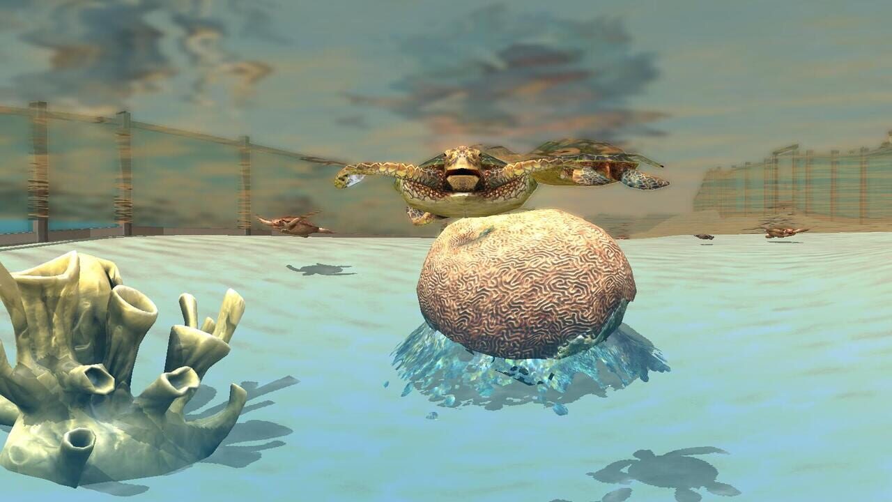 Wildlife Park 3: Creatures of the Caribbean Image