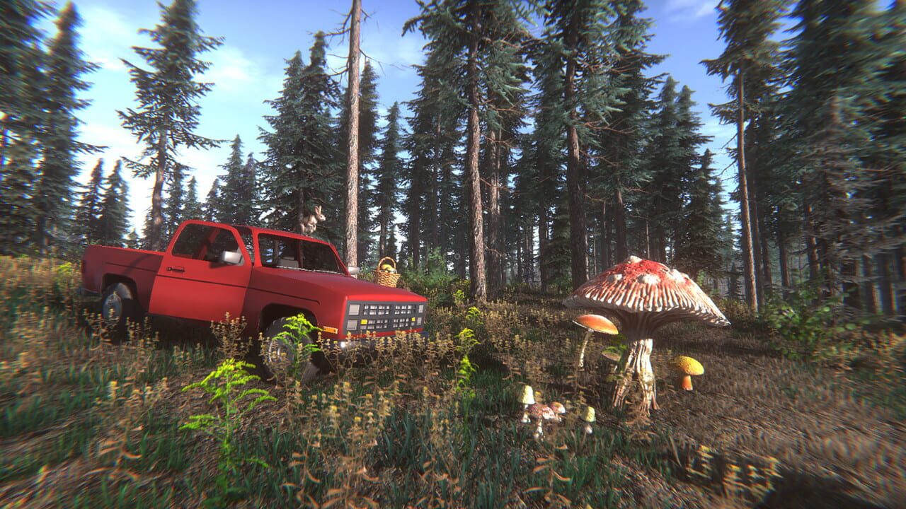 Mushroom Challenge — Screenshot 4