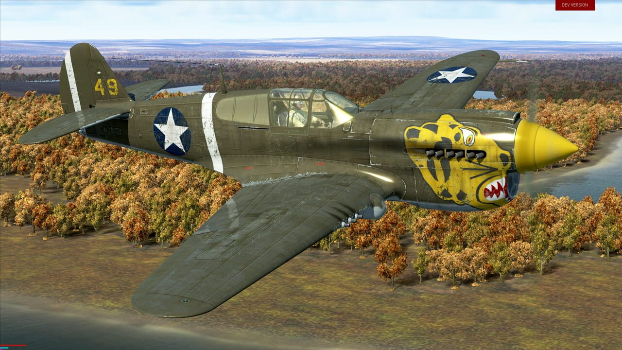 IL-2 Sturmovik: Battle of Stalingrad - P-40E-1 Collector Plane Image