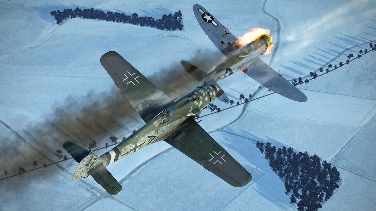 IL-2 Sturmovik: Battle of Stalingrad - Fw 190 D-9 Collector Plane Image