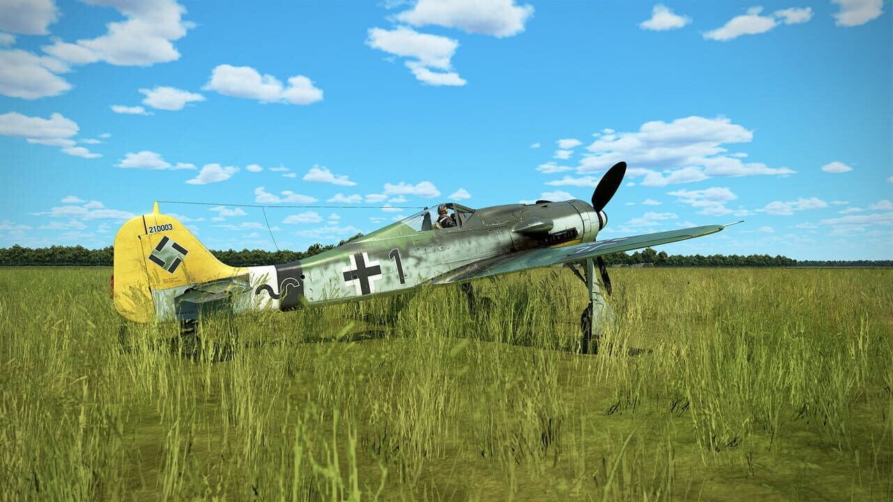 IL-2 Sturmovik: Battle of Stalingrad - Fw 190 D-9 Collector Plane Image