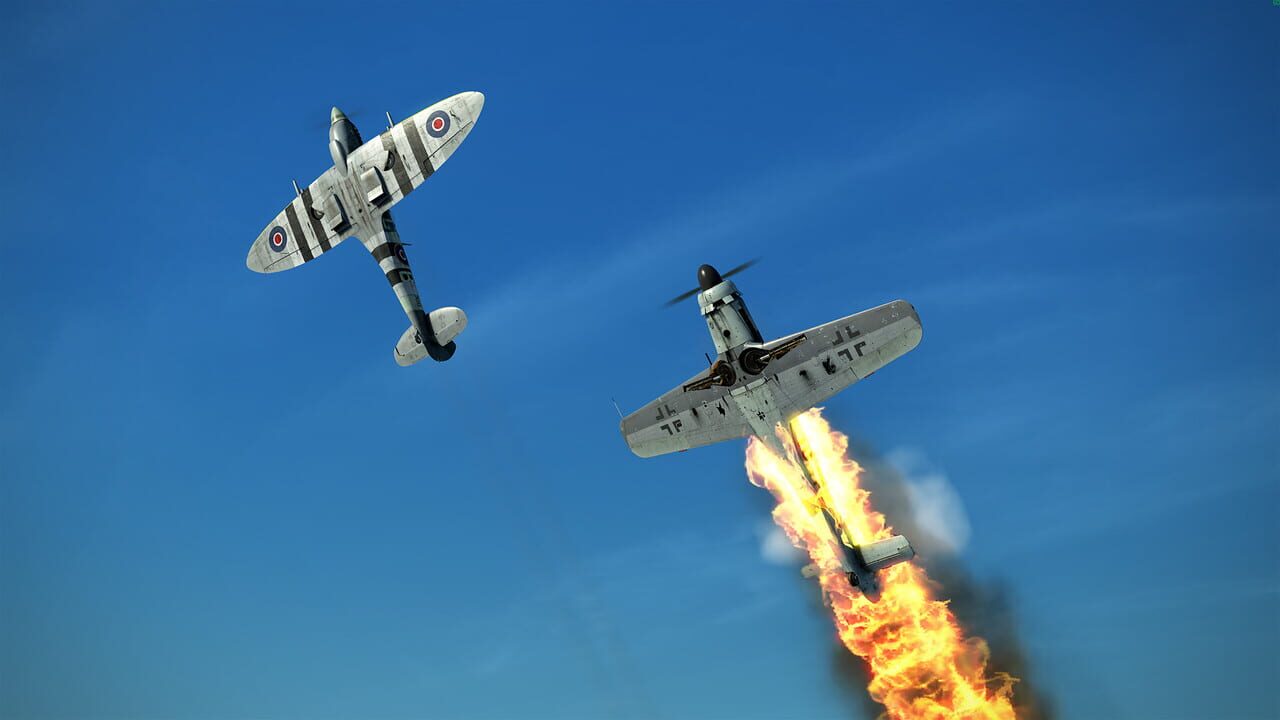 IL-2 Sturmovik: Battle of Stalingrad - Fw 190 D-9 Collector Plane Image