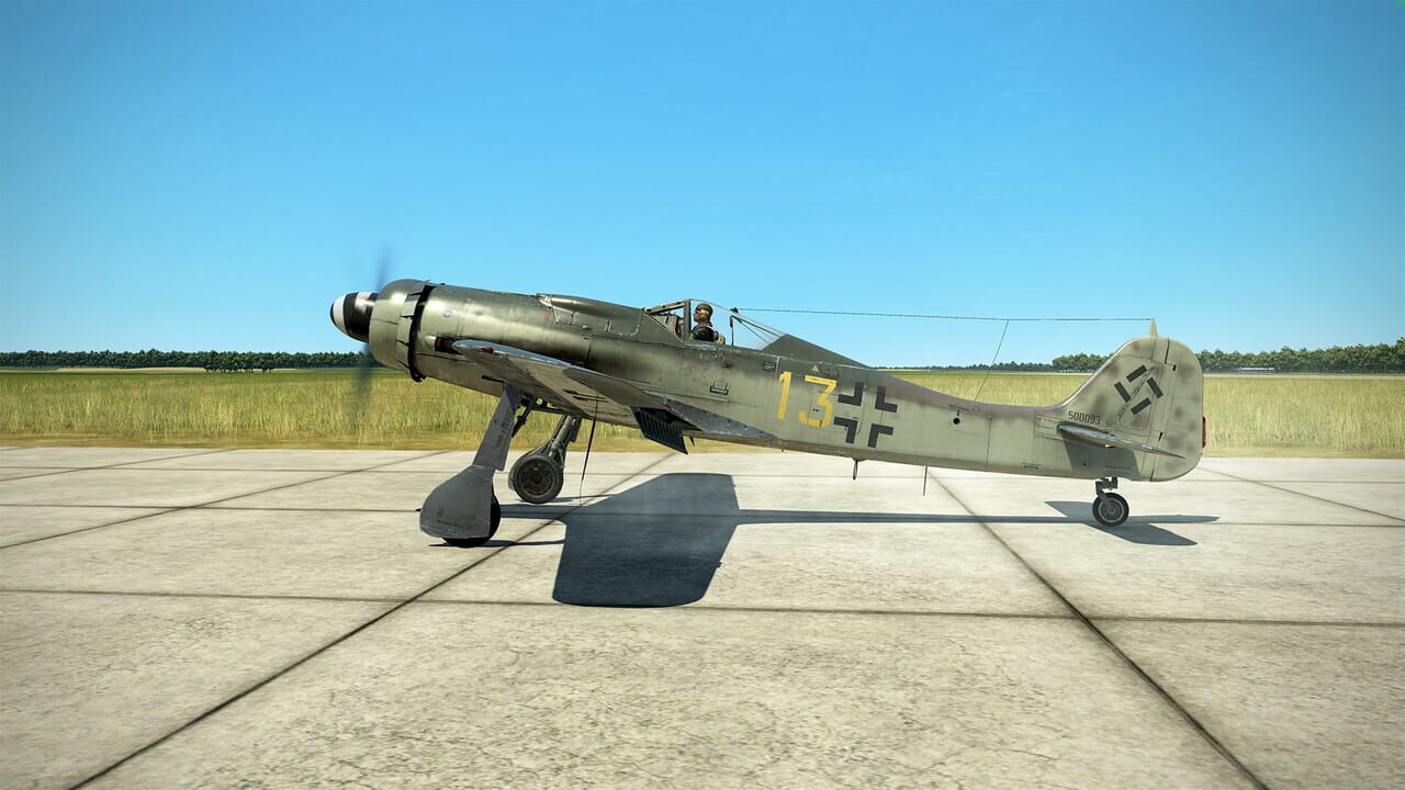 IL-2 Sturmovik: Battle of Stalingrad - Fw 190 D-9 Collector Plane Image