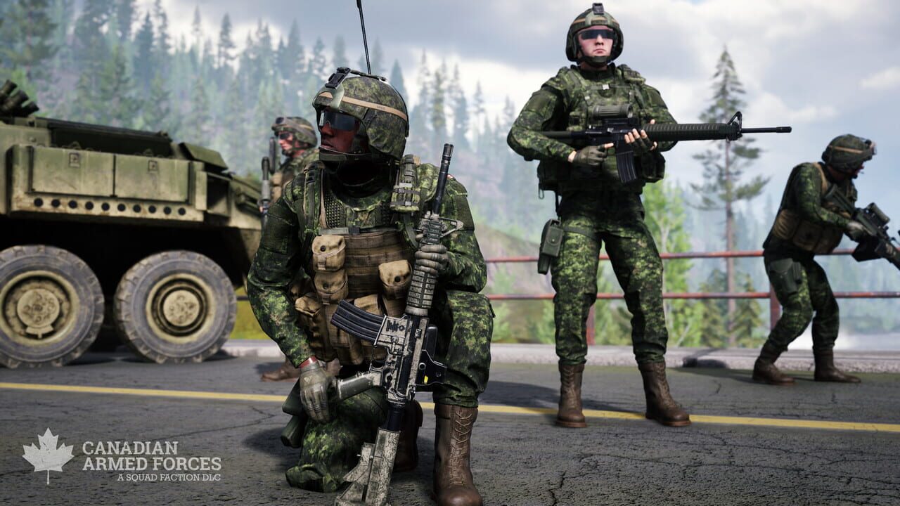 Squad: Canadian Armed Forces Image