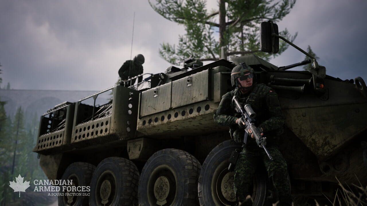 Squad: Canadian Armed Forces Image