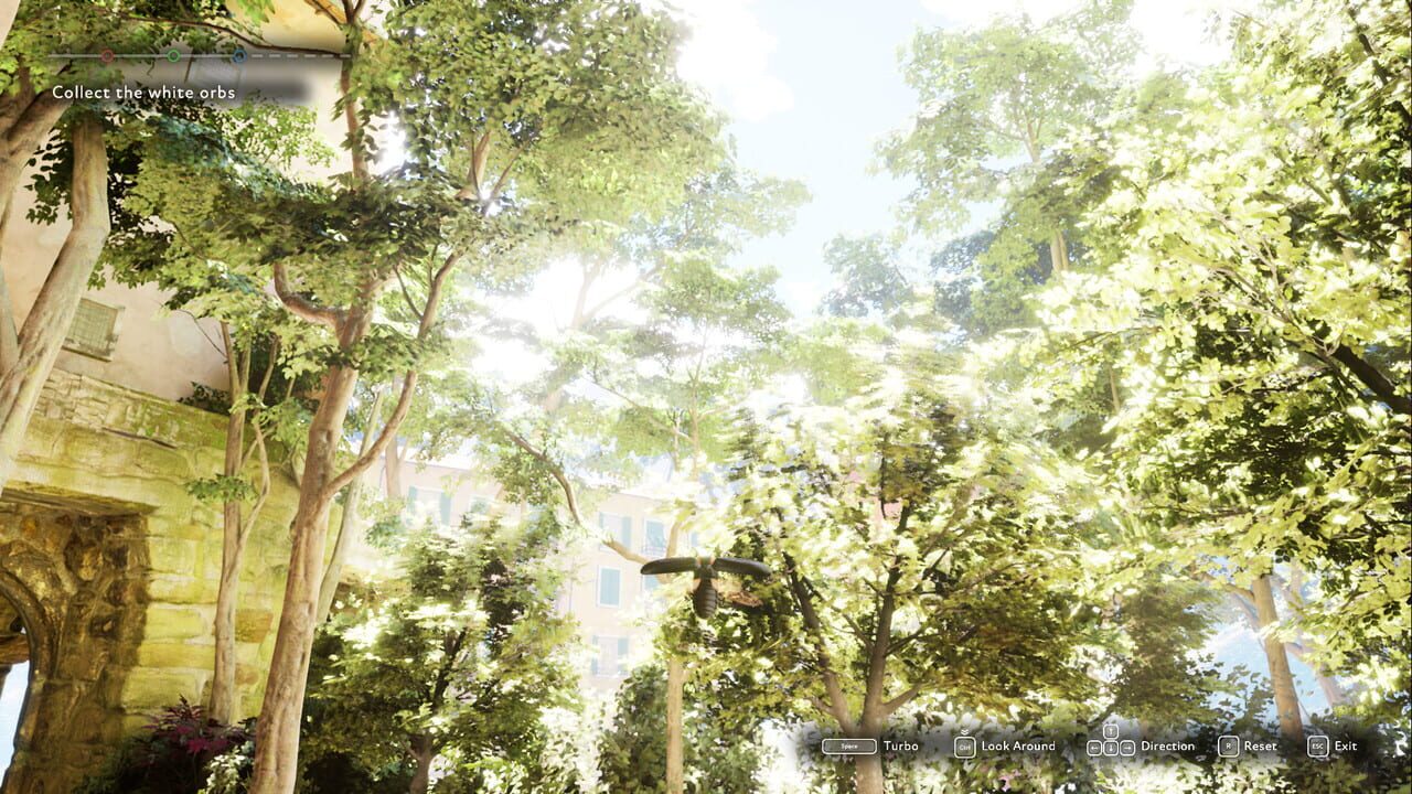 The Market of Light — Screenshot 3