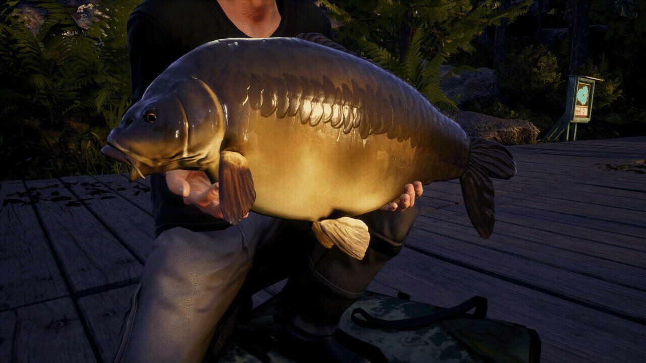 Euro Fishing: Waldsee Image