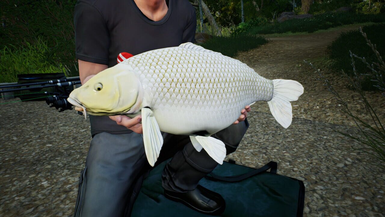Euro Fishing: Hunters Lake Image