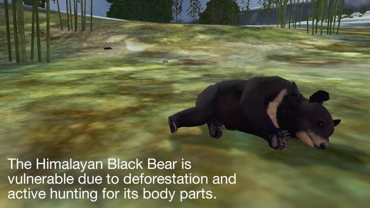 Tyto Ecology: Himalayas Ecosystem — Screenshot 5