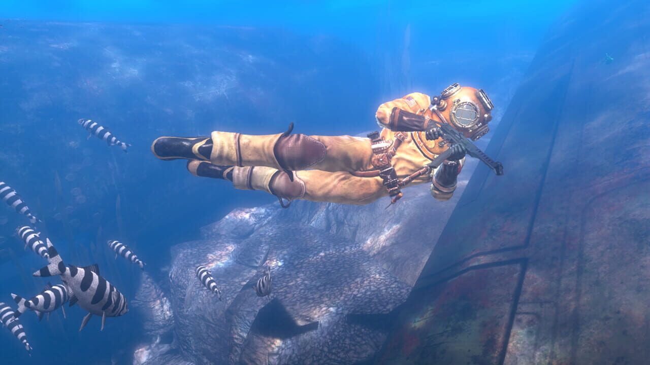 Depth: Wilhelm Diver Image