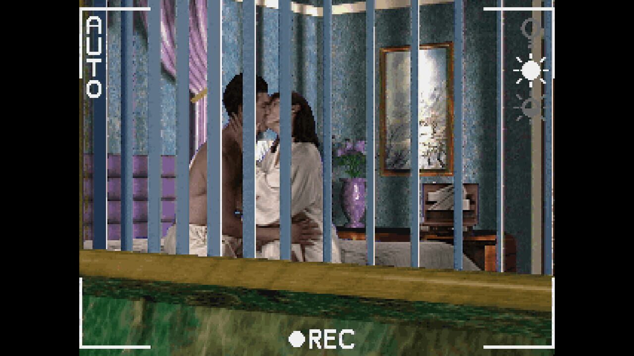 Voyeur Image