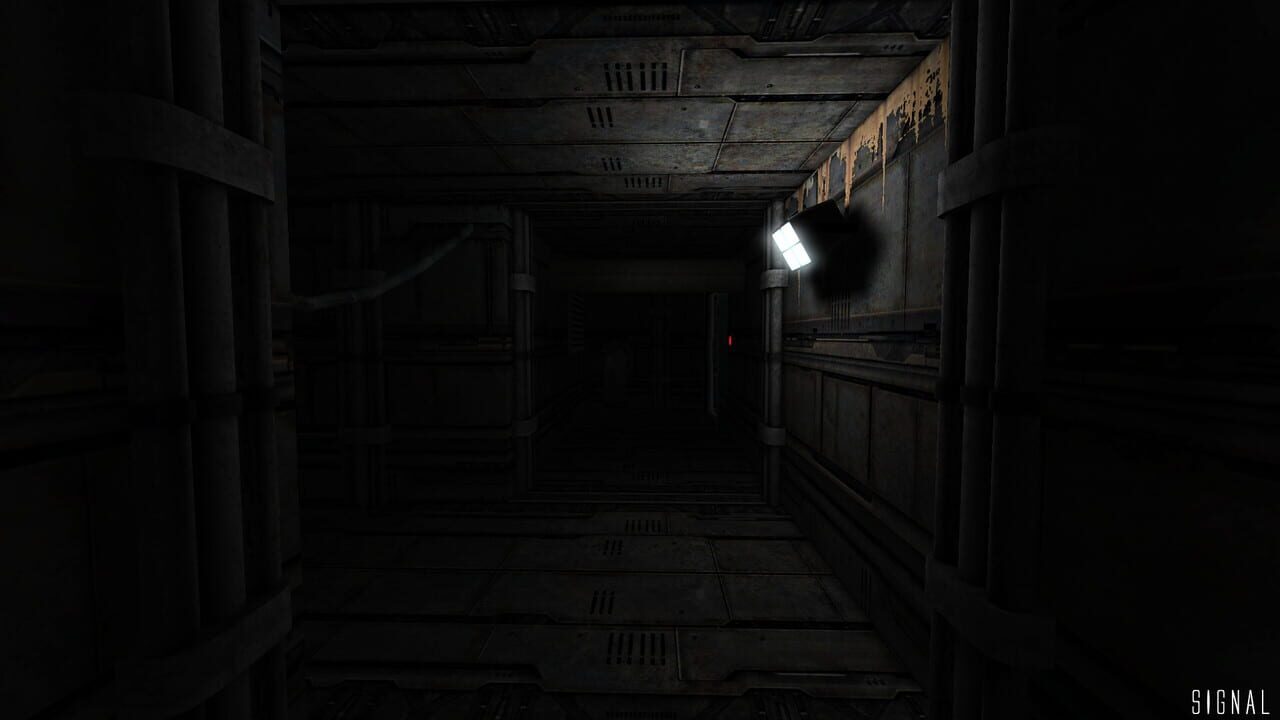 Signal — Screenshot 4
