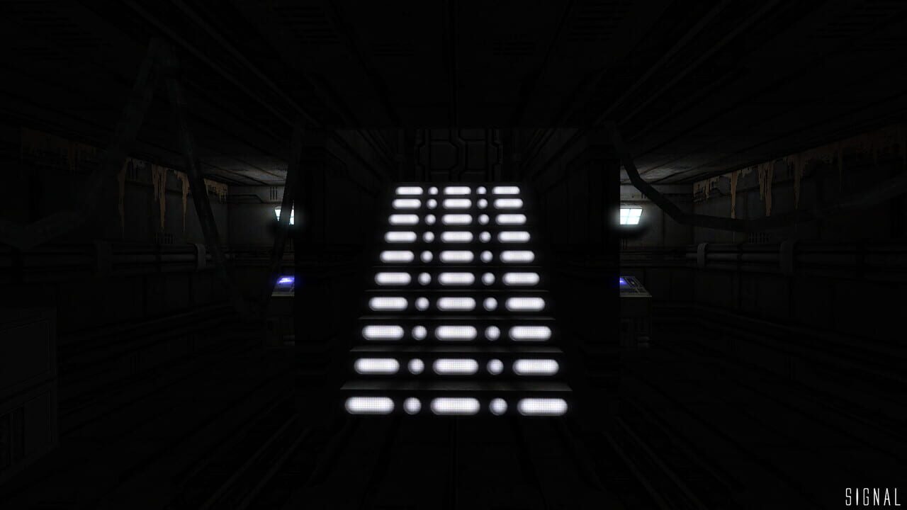 Signal — Screenshot 5