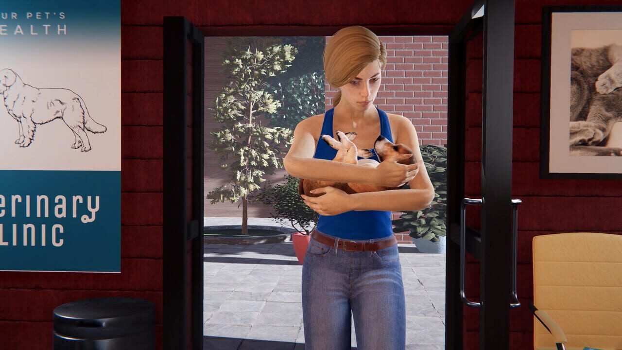 Veterinary Clinic Simulator Image