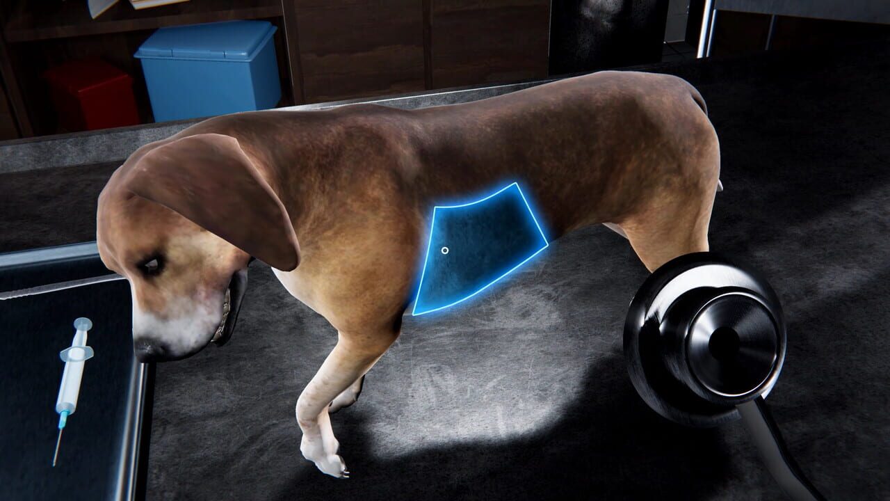 Veterinary Clinic Simulator Image