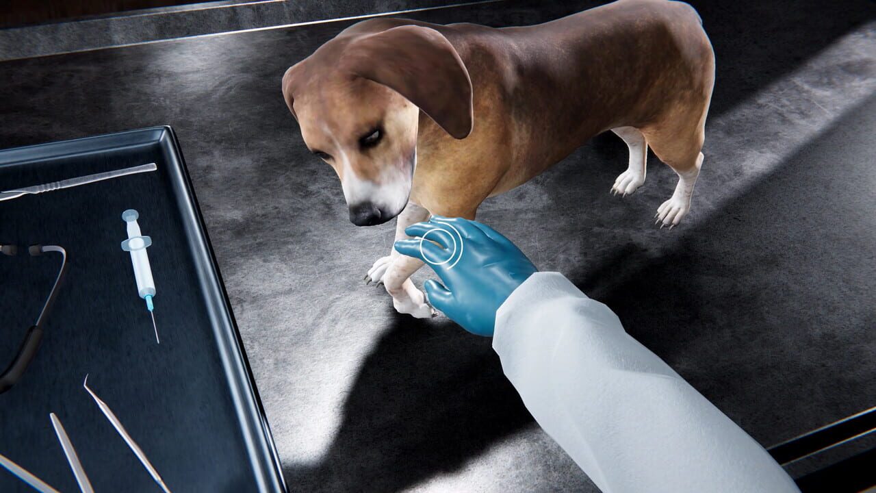 Veterinary Clinic Simulator Image