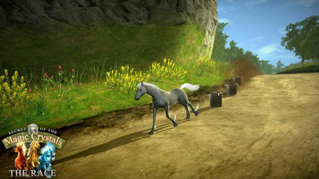 Secret of the Magic Crystals: The Race Image