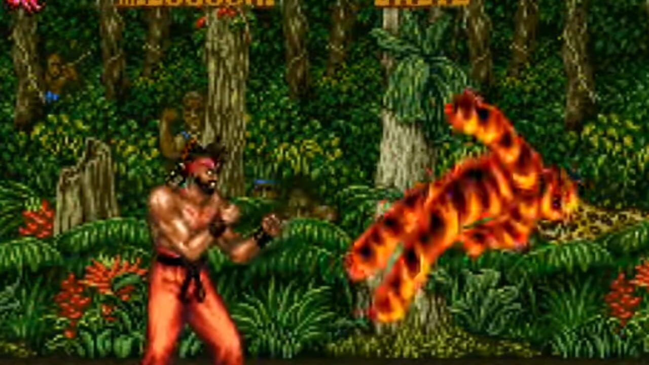 Fighter's History 2 — Screenshot 5