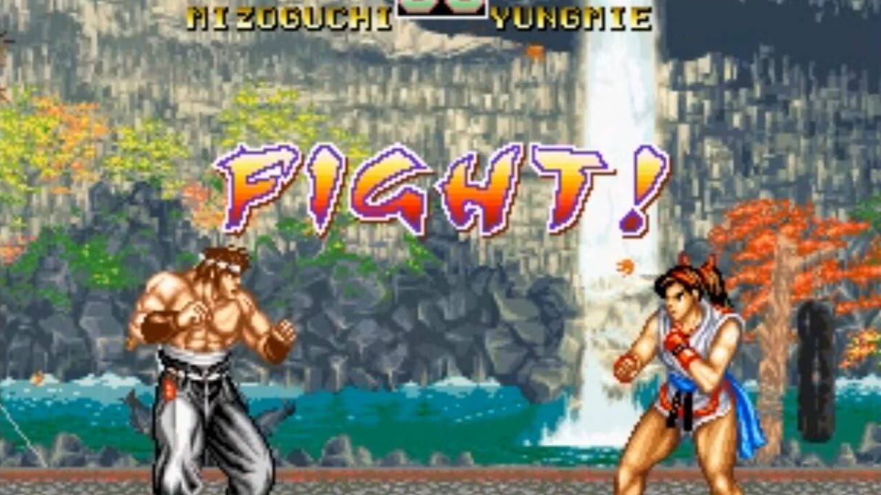 Fighter's History Dynamite Image