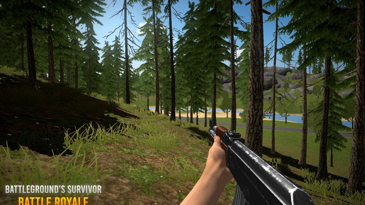 Battleground's Survivor: Battle Royale Image