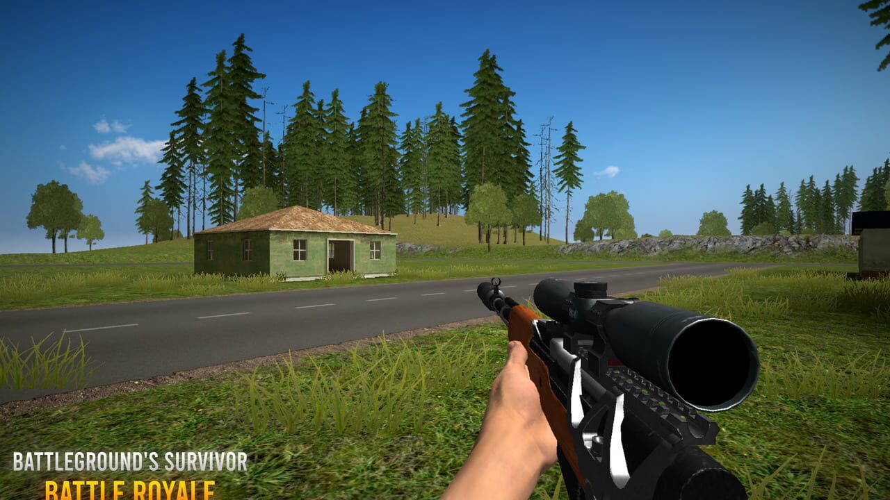 Battleground's Survivor: Battle Royale Image