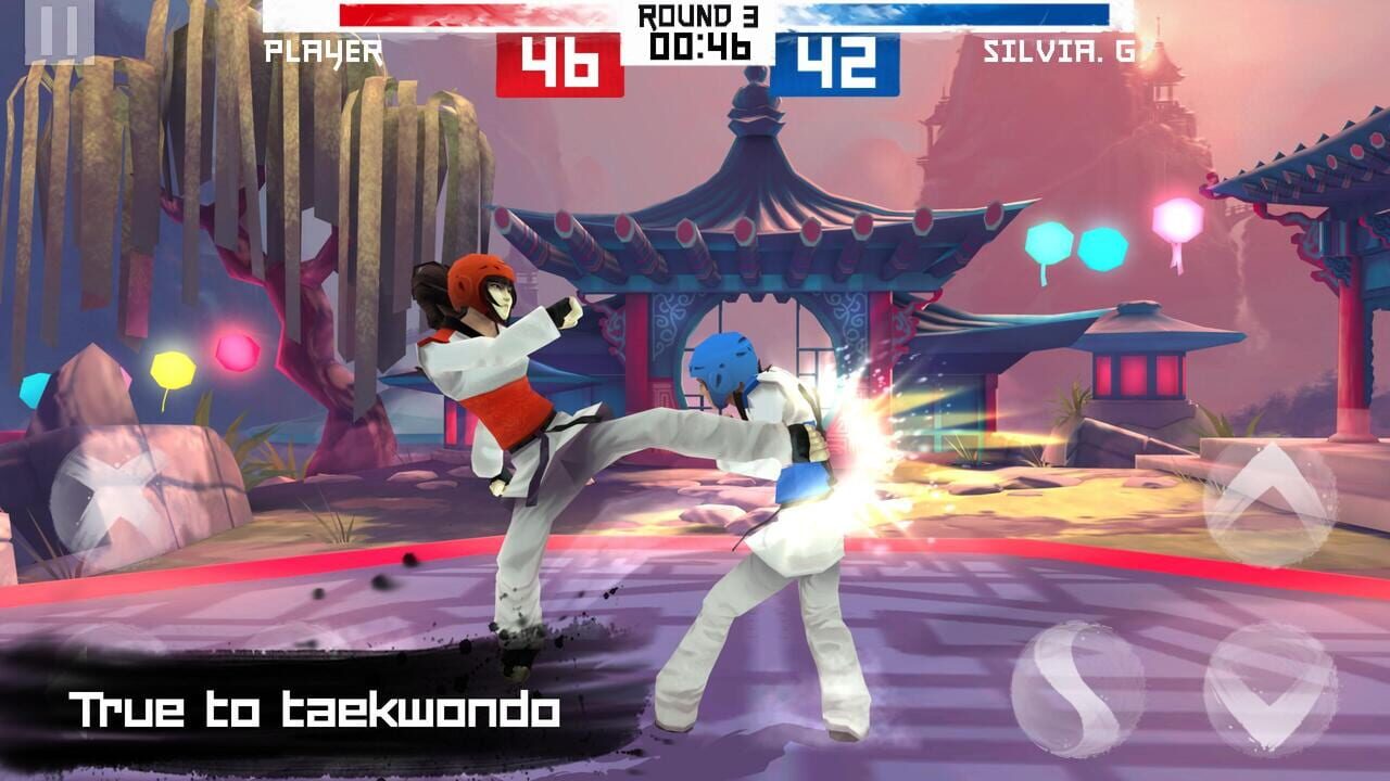Taekwondo — Screenshot 3
