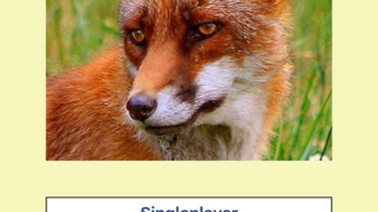Fox & Hounds — Screenshot 5