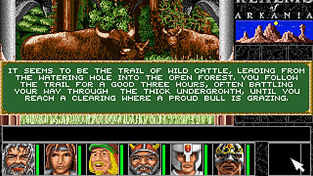 Realms of Arkania: Star Trail — Screenshot 3