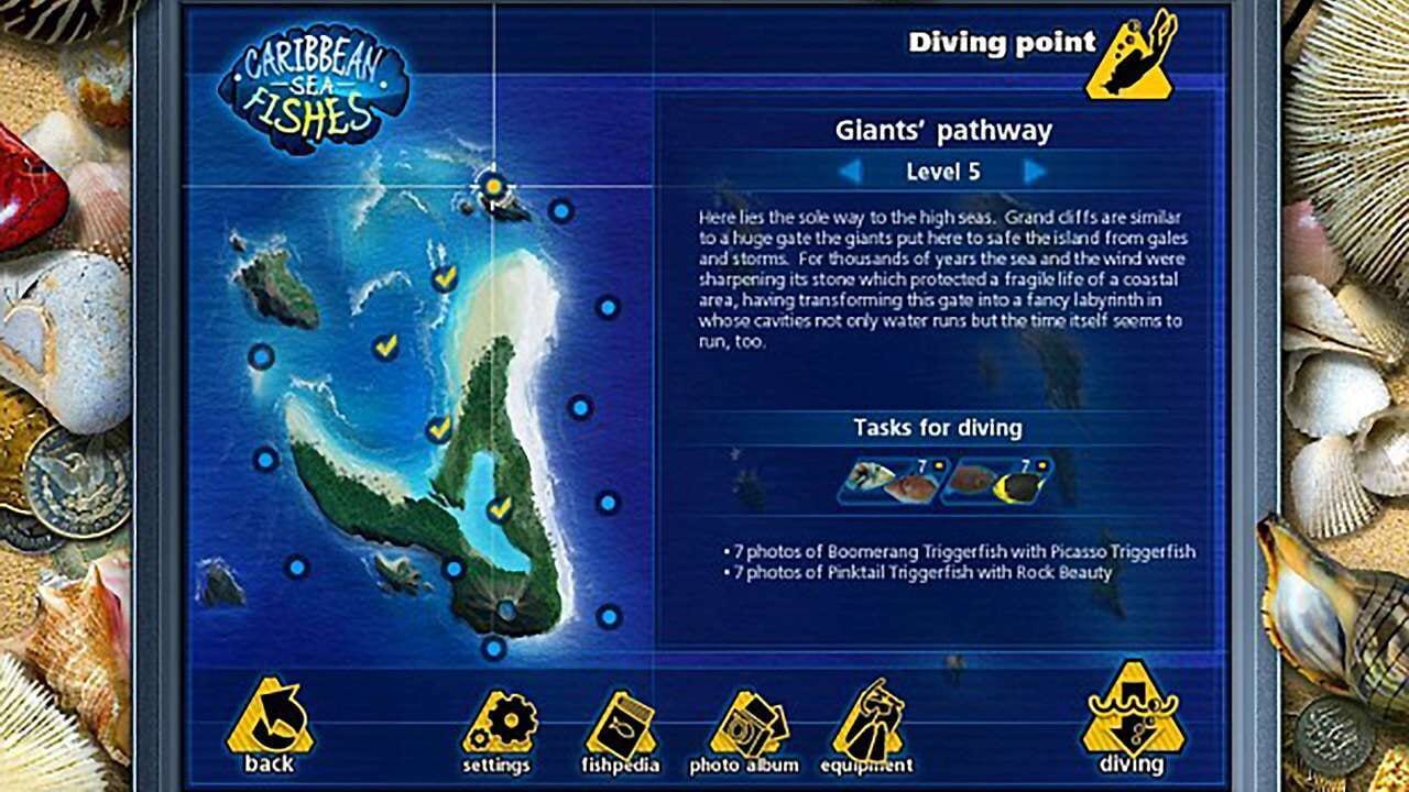 Caribbean Sea Fishes Image