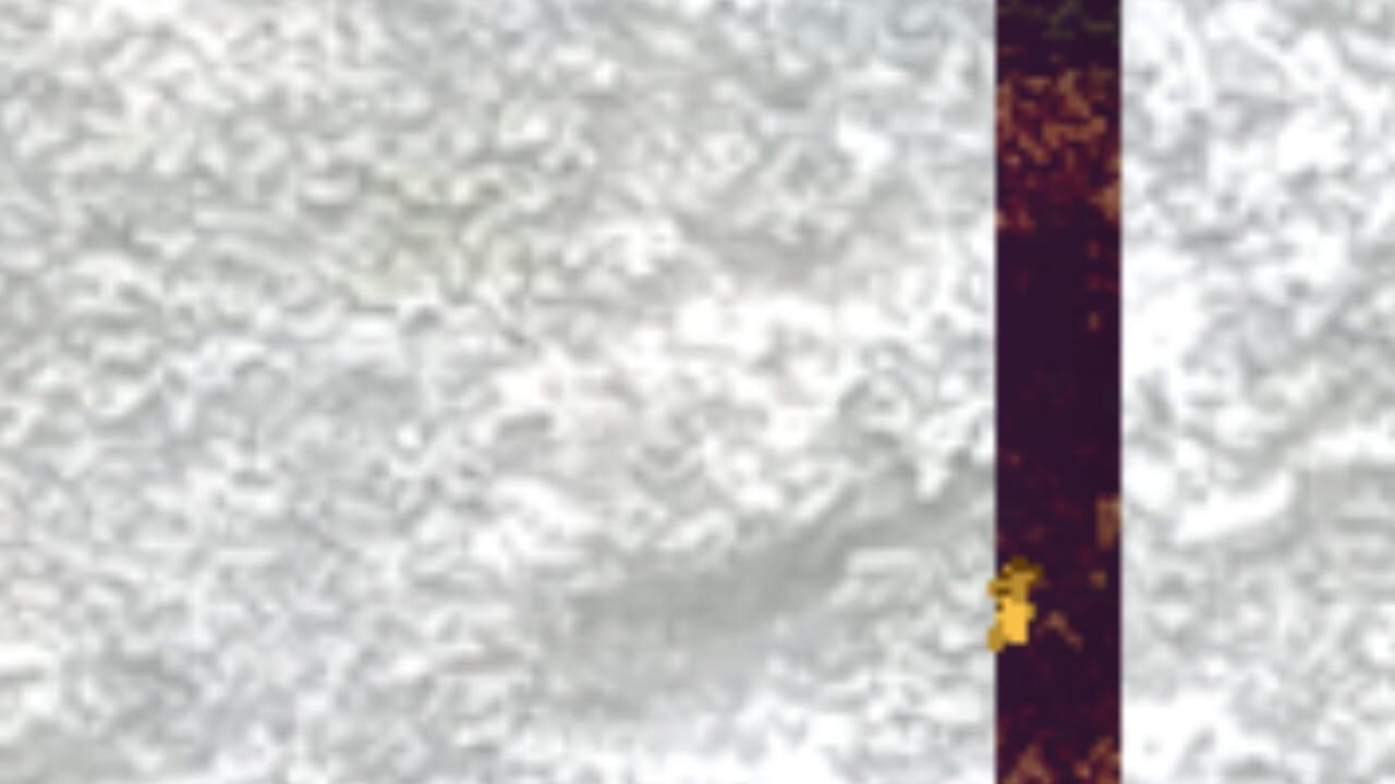 Flower Visit Image