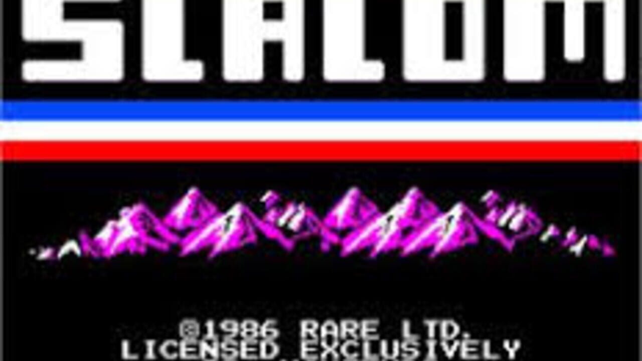 Vs. Slalom Screenshot 1