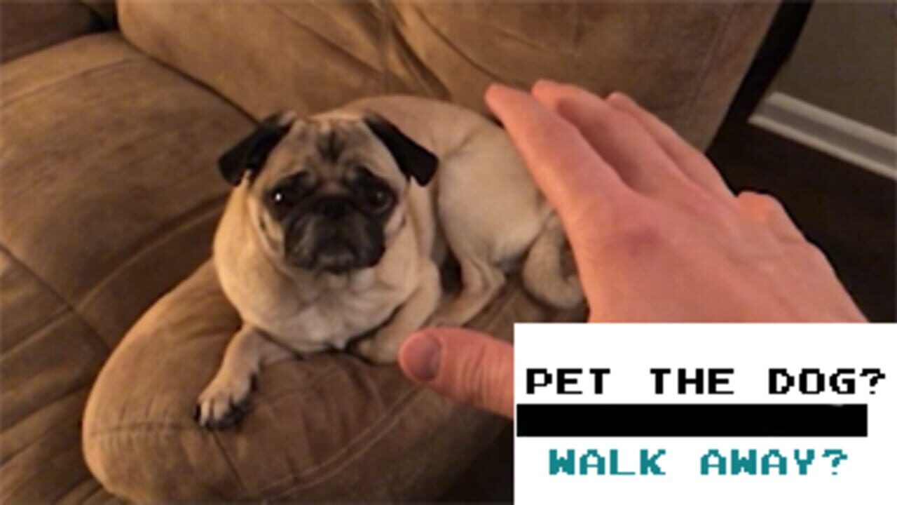Pet the Dog? — Screenshot 2